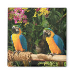 Macaw Bird Magnet