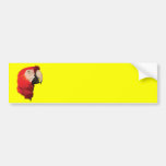 macaw bumper stickers