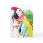 Macaw cards