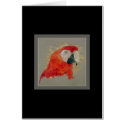 Macaw cards