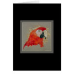 Macaw cards