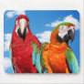 Macaw couple mouse pads