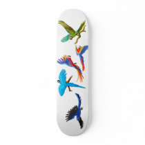 Macaw Crazy Skateboard