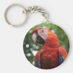 macaw face key chains