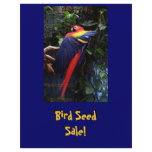 Macaw flyers