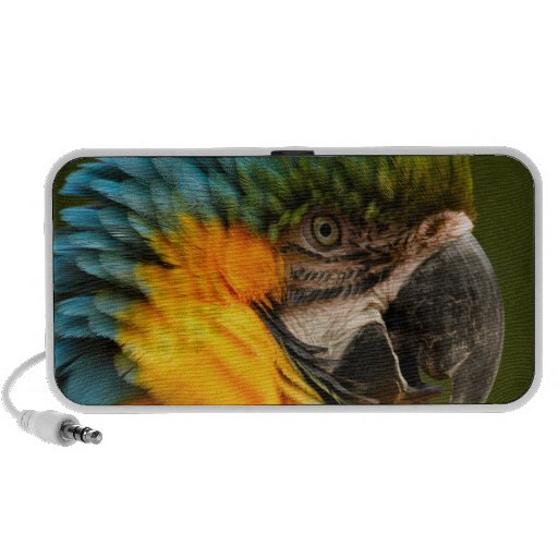 macaw iPod speakers