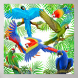 Macaw Jungle Poster posters