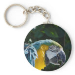 Macaw Key Chain