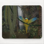 Macaw mousepads