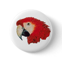 Macaw Parrot Badge Pin