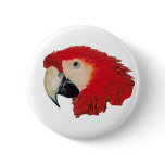 Macaw Parrot Badge Pin buttons