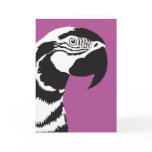 MACAW PARROT BLACK AND WHITE cards