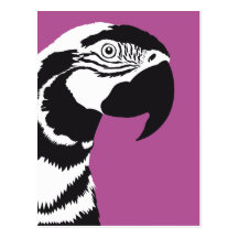 MACAW PARROT BLACK AND WHITE POST CARD