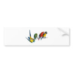 Macaw Parrot bumper stickers