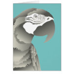 MACAW PARROT GREY GREETING CARDS