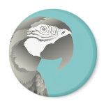 MACAW PARROT GREY magnets