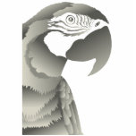 MACAW PARROT GREY photo sculptures