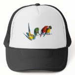 Macaw Parrot