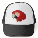 Macaw Parrot Trucker Hat