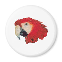 Macaw Parrot Refrigerator Magnets