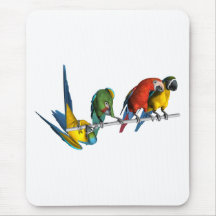 Macaw Parrot Mousepad