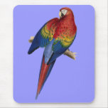 Macaw Parrot Red Yellow Blue Green Bird Mousemat
