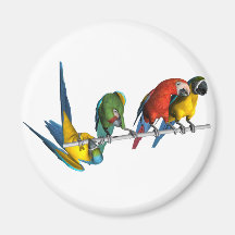 Macaw Parrot Refrigerator Magnets
