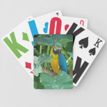 Macaw playing cards playing cards