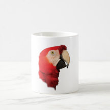 Macaw Portrait Coffee Mugs