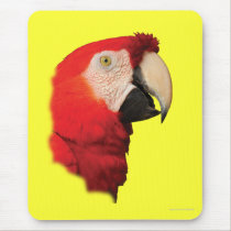 Macaw Portrait mousepads