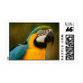 macaw stamps