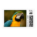 macaw postage