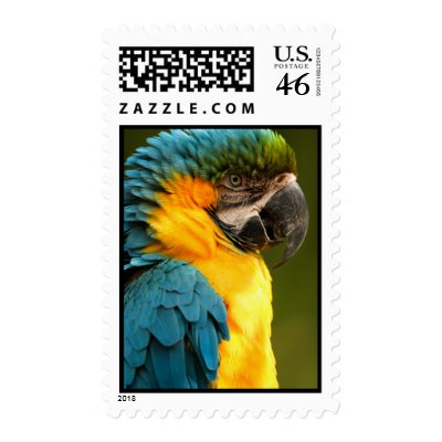 macaw postage stamps by WorldDesign