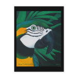 Macaw Postcard