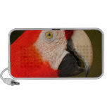 macaw up close travelling speakers