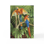 Macaws Card