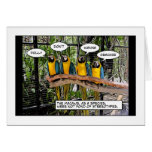 macaws hate stereotypes cards
