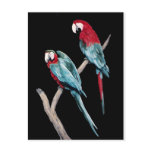 MACAWS postcards