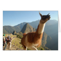 Macchu Picchu Greeting Cards