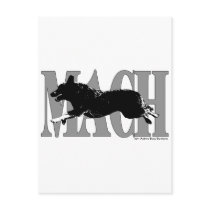 MACH  ACD POST CARD