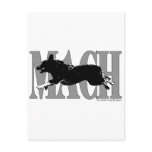 MACH  ACD postcards