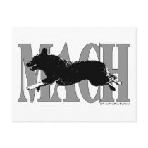 MACH  ACD POSTCARDS