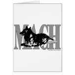 MACH Belgian Terveren Cards