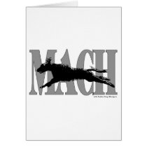 MACH Irish Setter Cards