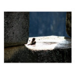 Machu Picchu, Peru, birdbath in stone window Postcards