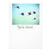 Mackaws Flying Custom Invitation