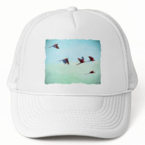 Mackaws Flying
