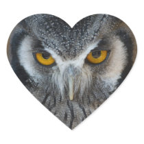 Macro Black and White Owl