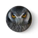 Macro Black and White Owl buttons