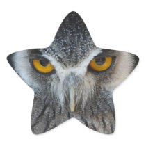 Macro Black and White Owl